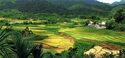 碧桂园·宝岛上城楼盘配套详情解读